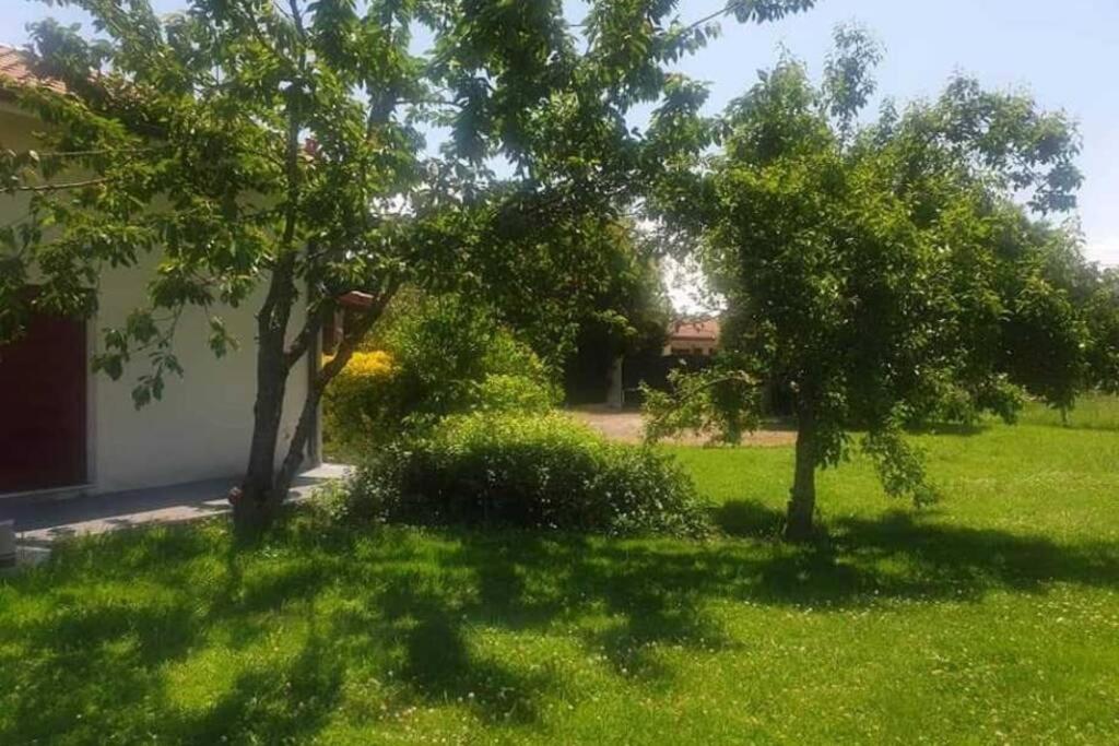 Villa Monplaisir 82 Montech المظهر الخارجي الصورة