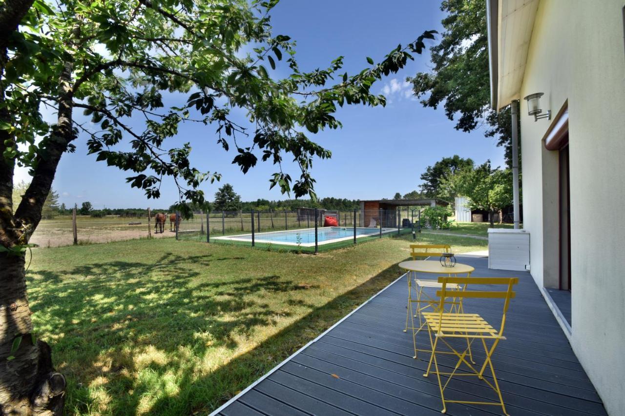 Villa Monplaisir 82 Montech المظهر الخارجي الصورة
